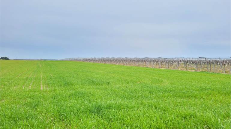 AZIENDA AGRICOLA DI HA 18,5 BIOLOGICA