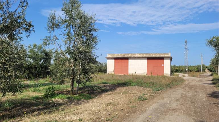 TERRENO DI HA 4 CON MAGAZZINO 