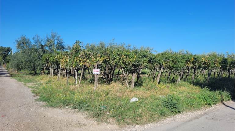 TERRENO DI MQ 6250 SU VIA TORRE QUARTO