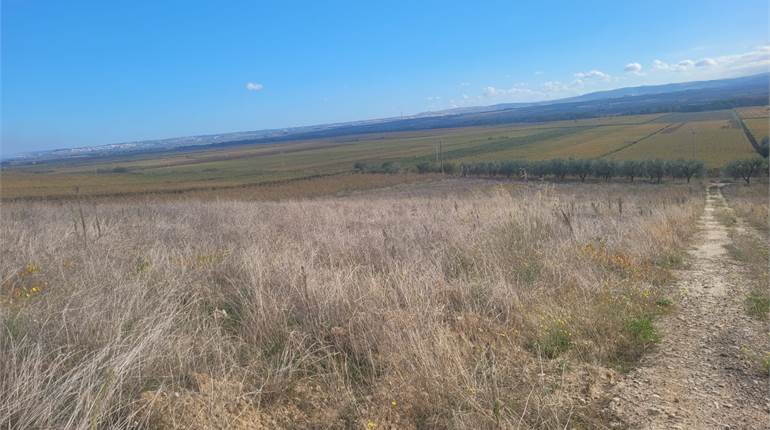TERRENO SEMINATIVO HA 4,70 E FRUTTETO HA 1 IRRIGUO