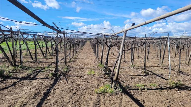 TERRENO DI HA 2,5 CON DIGA ESCLUSIVA