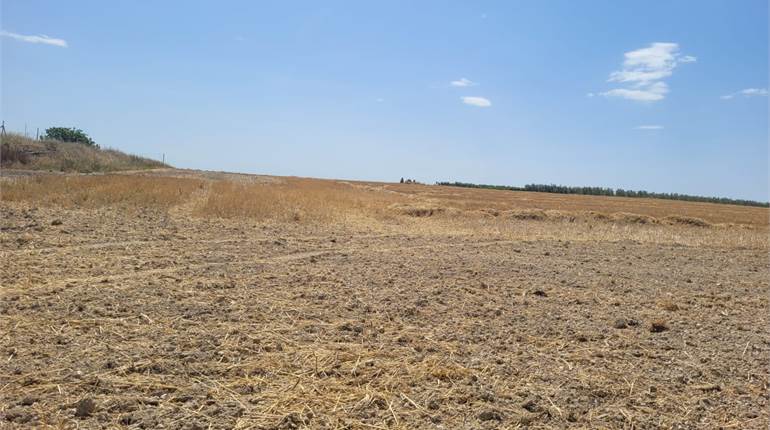 AZIENDA AGRICOLA DI HA 16 CIRCA
