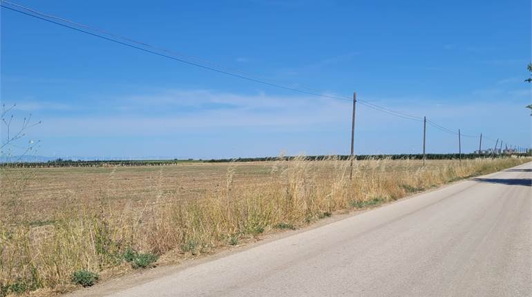 TERRENO SEMINATIVO HA 7,40 CON POZZO E CORRENTE
