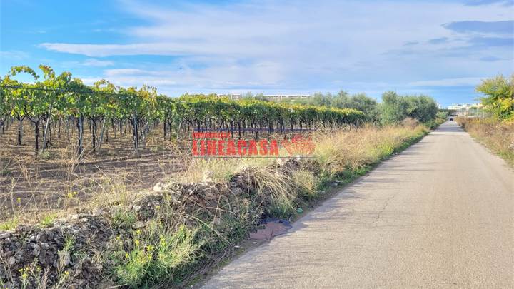 TERRENO VIGNETO CON AMPIO FABBRICATO RURALE