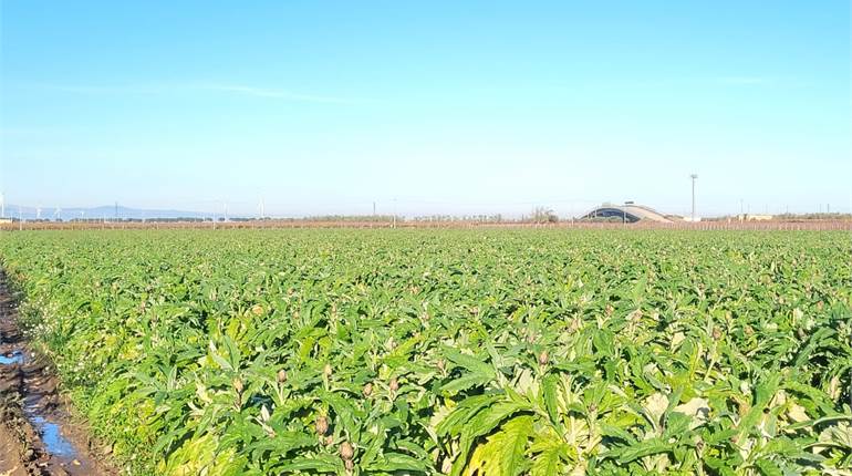 TERRENO HA 7,5 CON POZZO  E DIGA