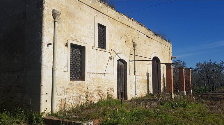 MASSERIA SECOLARE CON TERRENO OLIVETO