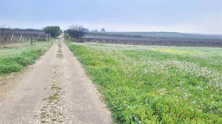 TERRENO SEMINATIVO DI HA 1,25 CIRCA CON DIGA
