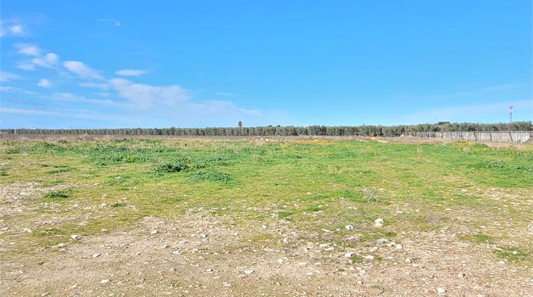 TERRENO SEMINATIVO DI HA 11,5 CON POZZO E DIGA